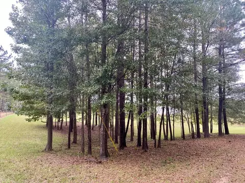 2103 Barner Rd, Wesson, MS 39191 photo 58