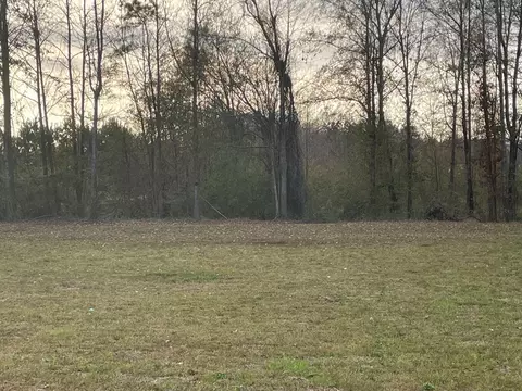 3153 Mound Rd, Wesson, MS 39191 photo 2