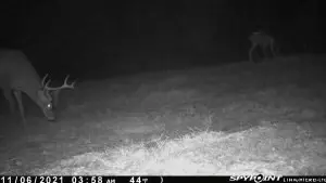 tbd Stump Rd, Gloster, MS 39638 photo 16