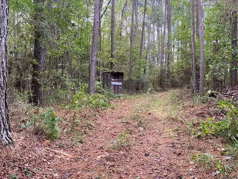 tbd Stump Rd, Gloster, MS 39638 photo 3