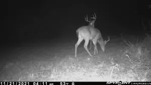 tbd Stump Rd, Gloster, MS 39638 photo 13