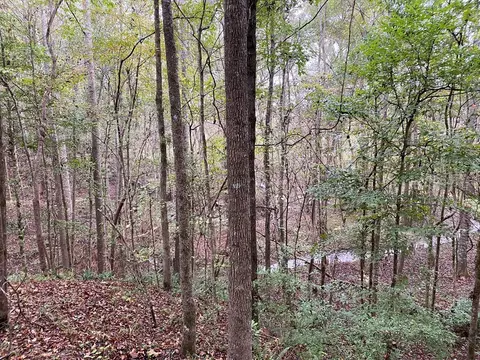 tbd Stump Rd, Gloster, MS 39638 photo 11