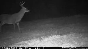 tbd Stump Rd, Gloster, MS 39638 photo 17
