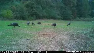 tbd Stump Rd, Gloster, MS 39638 photo 12