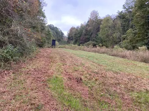 tbd Stump Rd, Gloster, MS 39638 photo 7