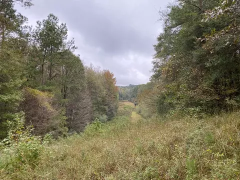 tbd Stump Rd, Gloster, MS 39638 photo 8