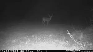 tbd Stump Rd, Gloster, MS 39638 photo 10