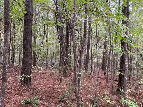 tbd Stump Rd, Gloster, MS 39638 photo 5