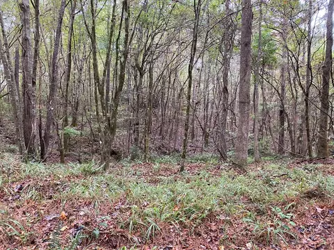 tbd Stump Rd, Gloster, MS 39638 photo 2