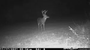 tbd Stump Rd, Gloster, MS 39638 photo 14
