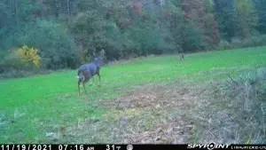 tbd Stump Rd, Gloster, MS 39638 photo 15