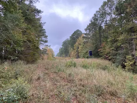 tbd Stump Rd, Gloster, MS 39638 photo 9