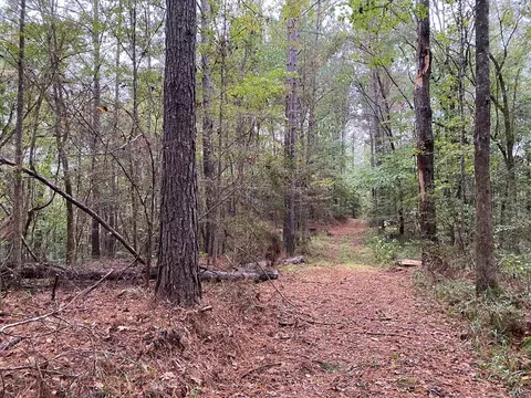 tbd Stump Rd, Gloster, MS 39638 photo 4