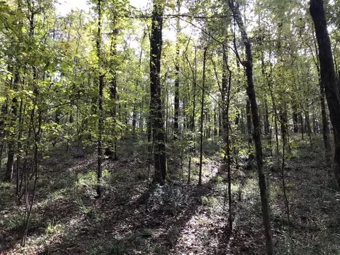 4603 New Hope Rd, Gloster, MS 39638 photo 32