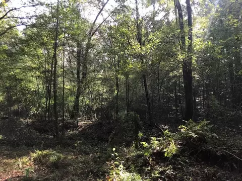 4603 New Hope Rd, Gloster, MS 39638 photo 41