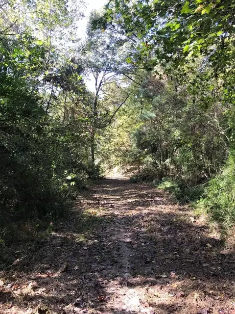 4603 New Hope Rd, Gloster, MS 39638 photo 38