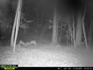 4603 New Hope Rd, Gloster, MS 39638 photo 30
