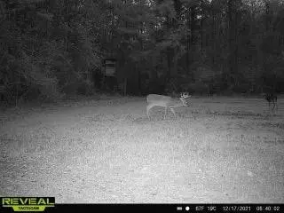 4603 New Hope Rd, Gloster, MS 39638 photo 26