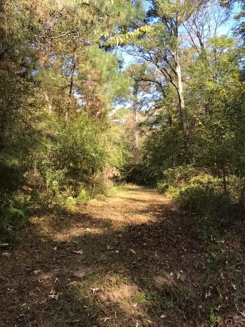 4603 New Hope Rd, Gloster, MS 39638 photo 44