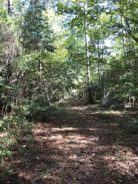 4603 New Hope Rd, Gloster, MS 39638 photo 45