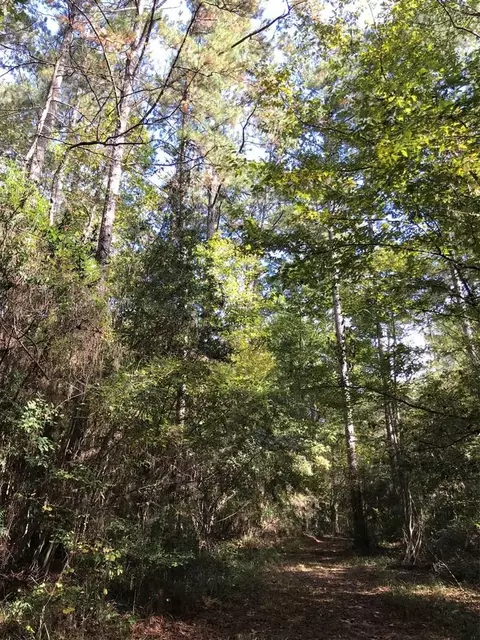4603 New Hope Rd, Gloster, MS 39638 photo 39