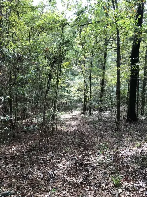 4603 New Hope Rd, Gloster, MS 39638 photo 37