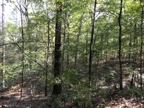 4603 New Hope Rd, Gloster, MS 39638 photo 31