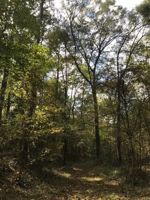 4603 New Hope Rd, Gloster, MS 39638 photo 34