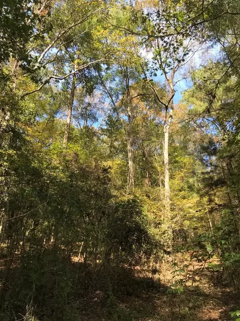 4603 New Hope Rd, Gloster, MS 39638 photo 40