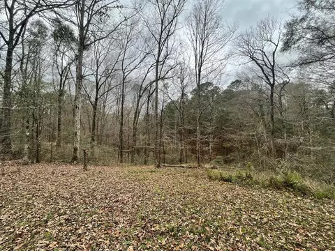 4603 New Hope Rd, Gloster, MS 39638 photo 22