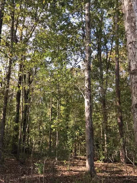 4603 New Hope Rd, Gloster, MS 39638 photo 35