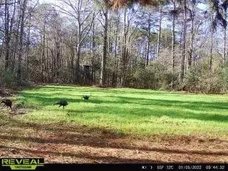 4603 New Hope Rd, Gloster, MS 39638 photo 27