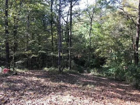 4603 New Hope Rd, Gloster, MS 39638 photo 46