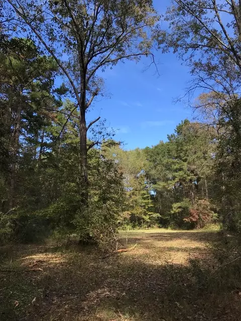 4603 New Hope Rd, Gloster, MS 39638 photo 33