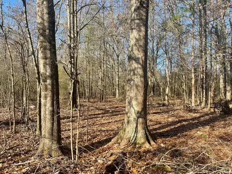 249 Brown Rd W, Canton, MS photo 4