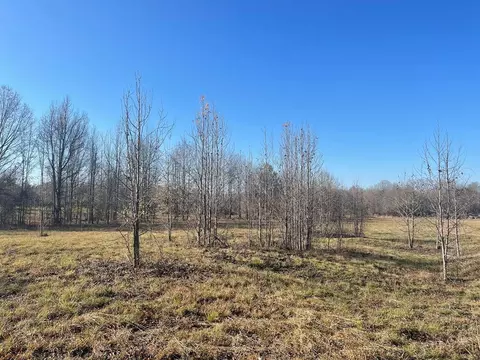 249 Brown Rd W, Canton, MS photo 1