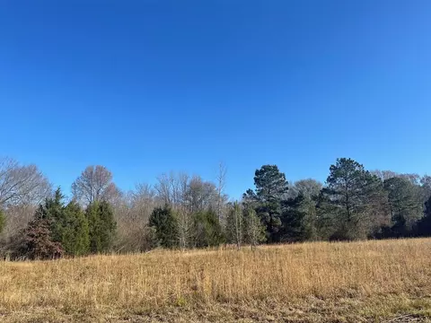 249 Brown Rd W, Canton, MS photo 2