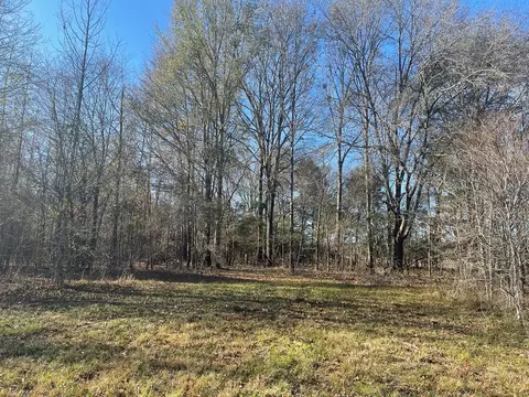 249 Brown Rd W, Canton, MS photo 8