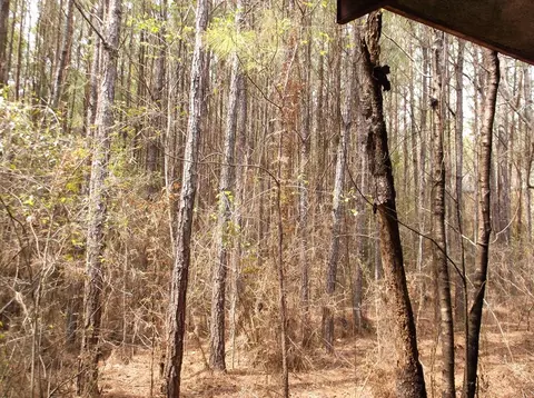 tbd Church St, Summit, MS 39666