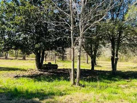 458 Jayess Rd, Jayess, MS 39641 photo 17