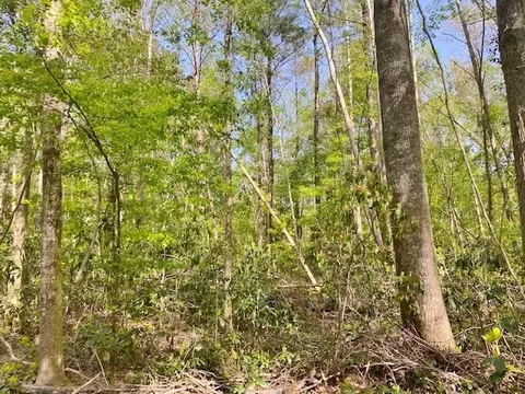 tbd Cutrer, Osyka, MS 39657 photo 20