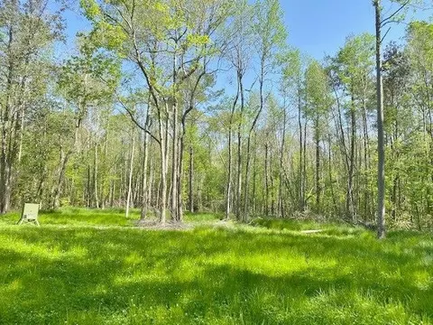 tbd Cutrer, Osyka, MS 39657 photo 1