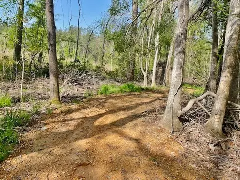 tbd Cutrer, Osyka, MS 39657 photo 9