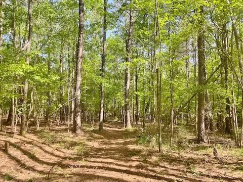 tbd Cutrer, Osyka, MS 39657 photo 3