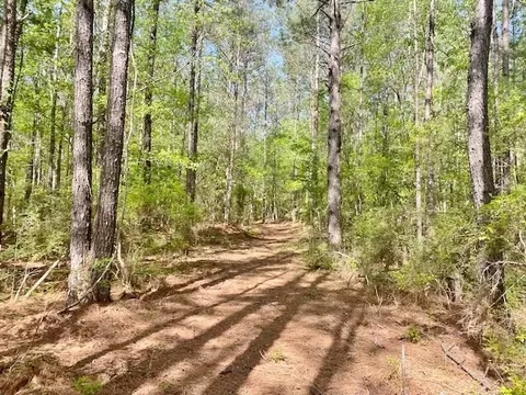 tbd Cutrer, Osyka, MS 39657 photo 2