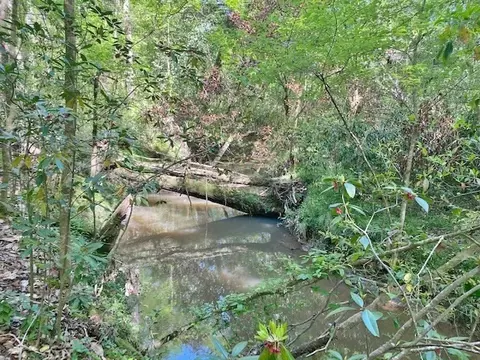 tbd Cutrer, Osyka, MS 39657 photo 24