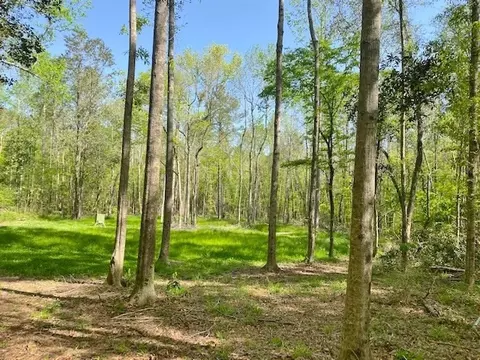 tbd Cutrer, Osyka, MS 39657 photo 6