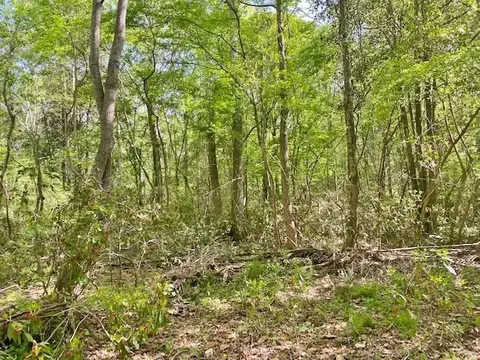 tbd Cutrer, Osyka, MS 39657 photo 23