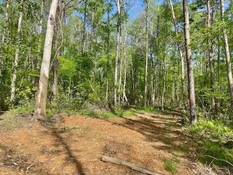 tbd Cutrer, Osyka, MS 39657 photo 19