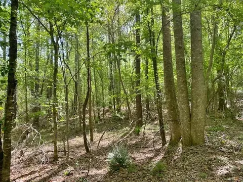 tbd Cutrer, Osyka, MS 39657 photo 21
